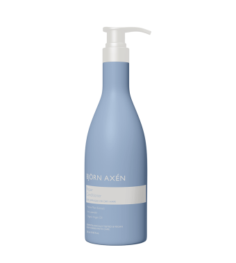 BJORN AXEN Repair Conditione